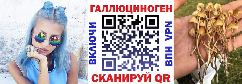 Псилоцибиновые грибы GOLDEN TEACHER  купить наркотик  Саров 