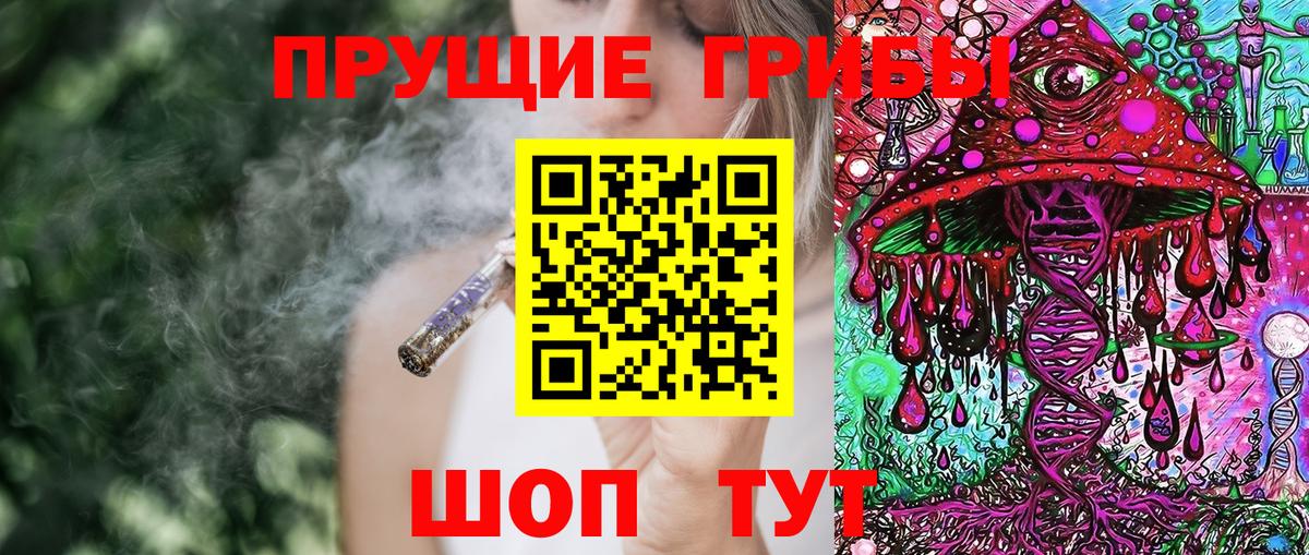 Псилоцибиновые грибы GOLDEN TEACHER Саров