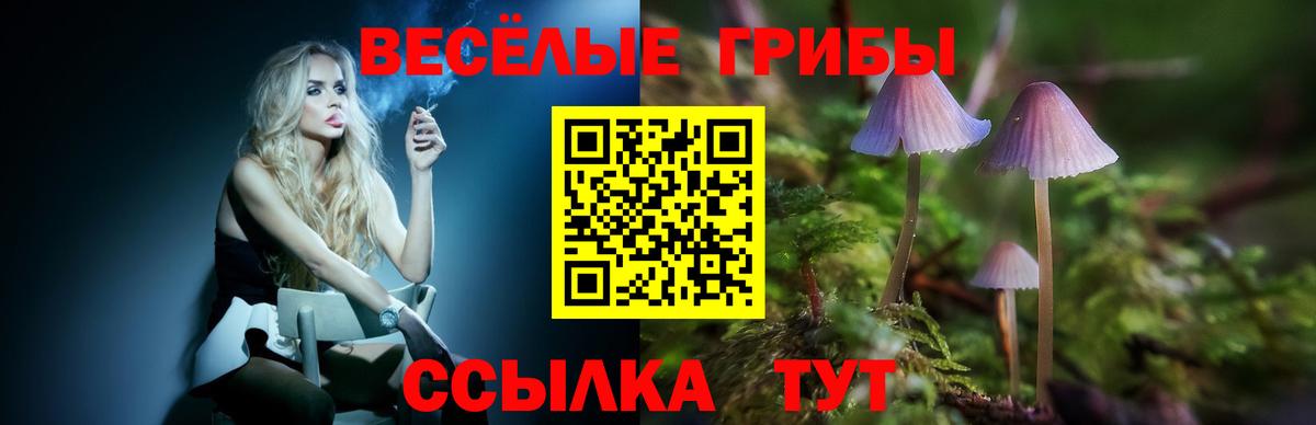 Галлюциногенные грибы GOLDEN TEACHER  Вход с VPN  Псилоцибиновые грибы Cubensis  купить наркотики цена  Саров 
